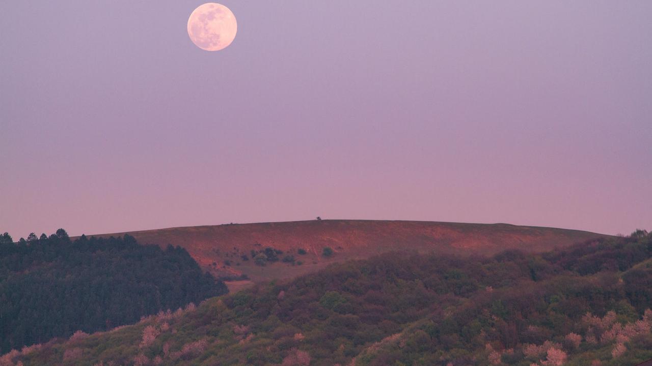 [Bintang] Begini Niat Salat Gerhana Bulan dan Doanya, Jangan Sampai Salah!
