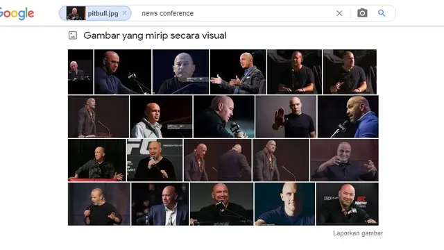 Hasil penelusuran Google Image