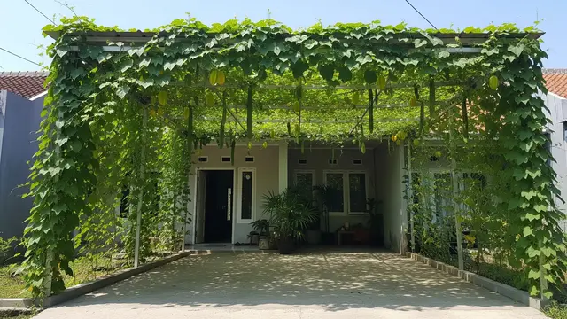 Kanopi Sayur Rambat Menyatu dengan Carport