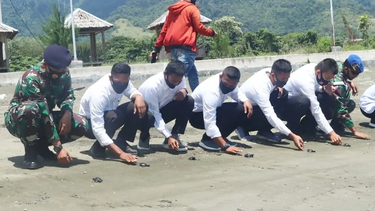 Pelepasan Tukik
