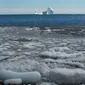 Sebuah bongkahan es raksasa melewati perairan Ferryland Newfoundland, Kanada, (10/4). Perairan yang disebut Iceberg Alley ini menjadi tempat perlintasan pecahan gletser di Greenland pada setiap awal musim panas. (Paul Daly/The Canadian Press via AP)