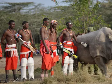 Suku Maasai foto bersama dengan seekor badak putih setelah pertandingan amal kriket di kaki Gunung Kenya (18/6). Pertandingan amal ini digelar untuk meningkatkan kesadaran akan nasib badak putih yang hampir punah. (AFP Phoo/Tony Karumba)
