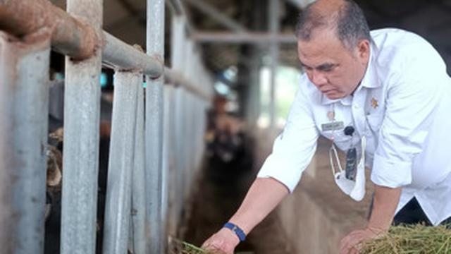 Direktur Jenderal PKH, Nasrullah