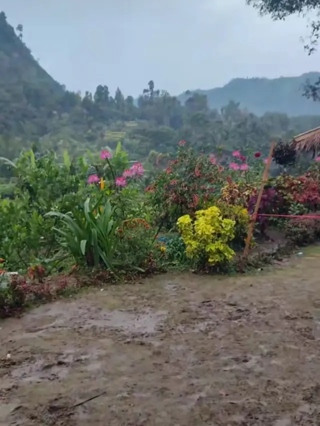 Taman Rumah Abah Jajang Rusak