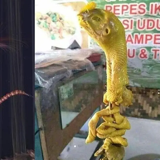 6 Penampakan Makan Kepala Ayam Ini Bikin Kurang Selera