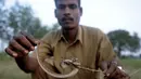 Seorang pemburu ular, Kali menunjukkan seekor kobra tangkapannya di pusat ekstraksi bisa ular Irula, Chennai, India, (11/11). Berbekal sabit kecil, linggis, dan tas kanvas, Kali dan rekannya Vedan setiap hari memburu kobra. (AFP Photo/Arun Sankar)