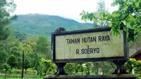 Tahura Raden Soerjo (dok.tahuraradensoerjo.id)