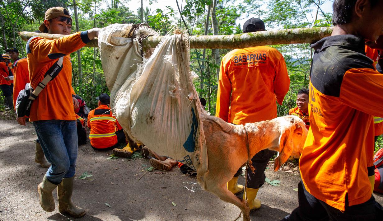 Sedikitnya, 48 rumah roboh atau hilang akibat tertimbun material longsor. Tampak daam foto, relawan penyelamat membawa seekor kambing milik warga setempat dari lokasi longsor Desa Situkung, Banjarnegara, Jawa Tengah, pada Selasa 18 November 2025. (DEVI RAHMAN/AFP)