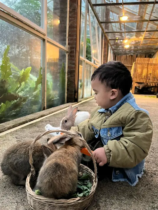Jangankan netizen, Irwansyah sendiri pun gemas melihat Ukkasya Muhammad Syahki asyik belajar berinteraksi dan menyayangi binatang yang juga ciptaan Sang Khalik. “MasyaAllah saking senengnya ga mau di angkat nih si bolu,” bintang film Heart dan 40 Hari Bangkitnya Pocong mencuit bersama lima foto Ukkasya Muhammad Syahki. (Foto: Dok. Instagram @irwansyah_15)