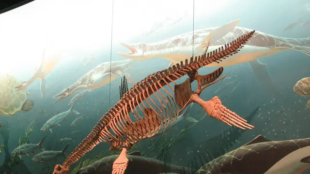 Plesiosaurus