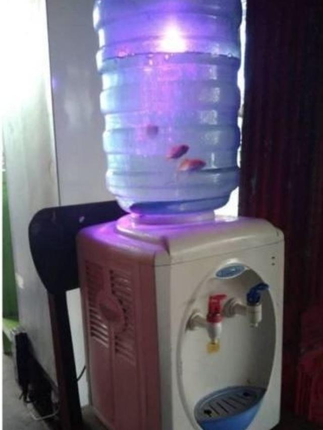 7 Potret Kandang Low Budget Ini Bikin Ngakak