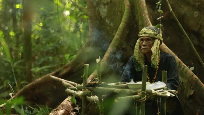 The Flame, Kisah Perjuangan Pria Lanjut Usia untuk Lindungi Hutan Adat Kalimantan