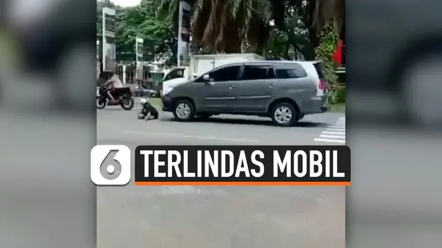 TERLINDAS MOBIL