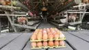 <p>Peternak mengambil telur ayam ras di peternakannya di Kampung Kebon Kopi, Pengasinan, Bogor, Kamis (15/12/2022). Menurut peternak setempat, sejak tiga pekan terakhir harga telur ayam ras di tingkat peternak mulai mengalami kenaikan dari Rp22 ribu menjadi Rp29 ribu per kilogram. (merdeka.com/Arie Basuki)</p>