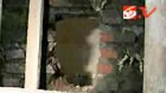 liputan6