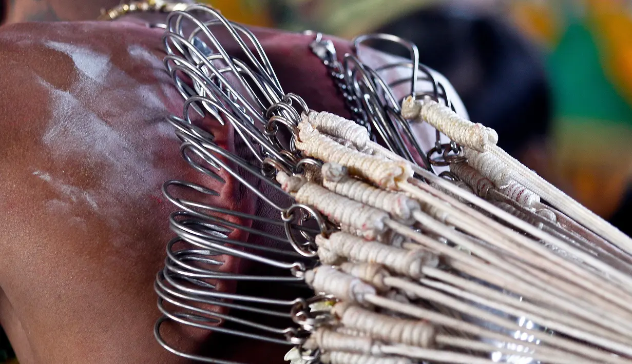 Seorang umat Hindu mengaitkan rantai ke punggungnya saat Festival Thaipusam di Batu Caves, Kuala Lumpur, Malaysia (31/1). Di hari ini, para umat Hindu mencari berkah, memenuhi sumpah, dan berterima kasih. (AP Photo/Sadiq Asyraf)