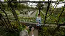 Pengunjung berpose di The White Garden, London, Kamis (13/4). The White Garden dibangun sebagai taman peringatan untuk mengenang Putri Diana. (AP Photo / Matt Dunham)