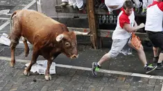 Banteng Berlari menjadi salah satu bagian dari Festival San Fermin di Pamplona, Spanyol (AFP PHOTO/Ander GILLENEA)