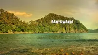 Pernahkah Anda datang ke Green Bay alias Teluk Hijau di Banyuwangi? Dijamin Anda akan terpukau dengan pesonanya