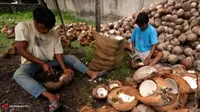 Malaysia Impor Kelapa Asal RI Demi Penuhi Kebutuhan Lebaran