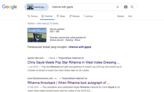 Hasil penelusuran Google Image