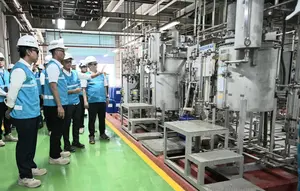 Kejar Program Pembangkit Tenaga Surya, PLN Sempat Terkendala Lahan