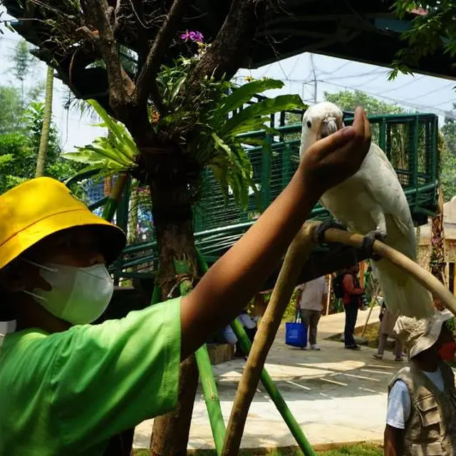 Wahana baru Jakarta Bird Land di kawasan Taman Impian Jaya Ancol