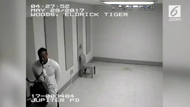 Polisi merilis video pemeriksaan Tiger Woods usai ditangkap karena diduga mengemudi dalam pengaruh obat.