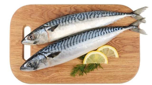 Ilustrasi Ikan Tenggiri | thegorbalsla.com