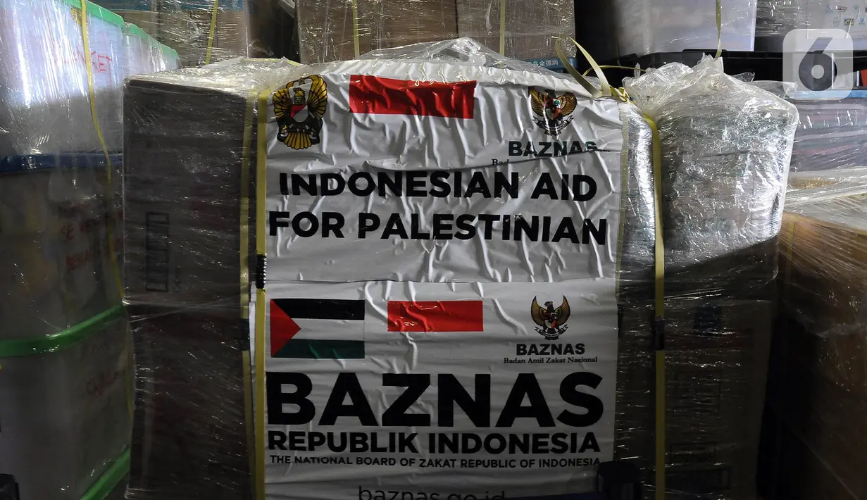 Namun, izin yang diberikan Pemerintah Mesir sejauh ini hanya mengantar bantuan dan kunjungan persahabatan ke pelabuhan (port visit) di El Arish Mesir. (merdeka.com/Imam Buhori)