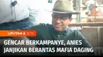 Capres nomor urut 1 Anies Baswedan mengunjungi salah satu peternakan sapi terbesar di Lampung Tengah, Provinsi Lampung. Dalam lawatannya, Anies berjanji akan memberantas mafia daging.