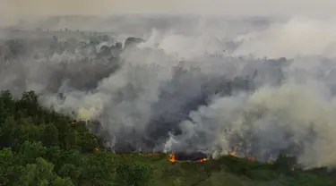 Foto udara menunjukkan kebakaran hutan dan lahan yang menyebar di Ogan Ilir, Sumatra Selatan, pada 14 September 2023. (Al ZULKIFLI/AFP)