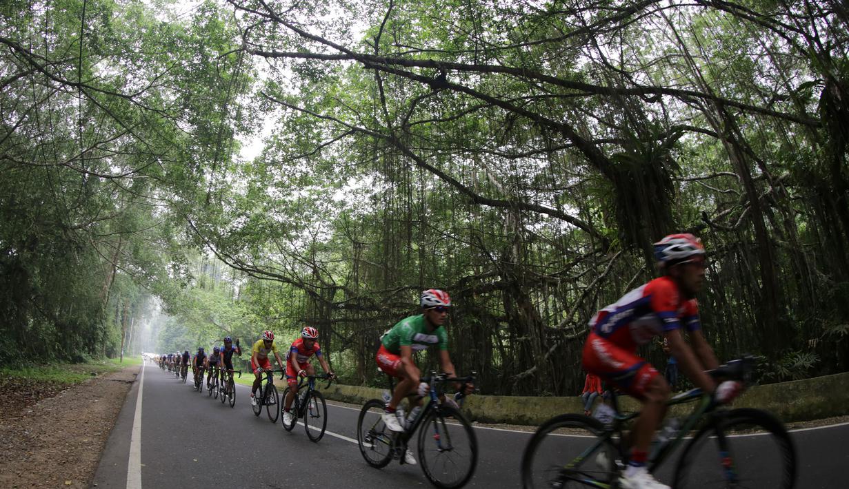 Para pebalap melewati kawasan hutan Rimbo Panti dalam Etape 7 Tour de Singkarak 2015 antara Pasaman-Pasaman Barat, Jumat (9/10/2015). (Bola.com/Arief Bagus)