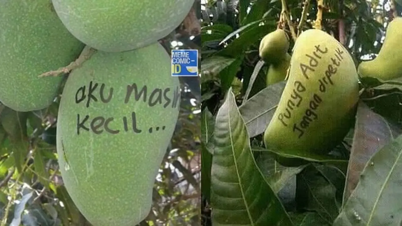 6 Tulisan di Mangga Ini Nyeleneh Banget, Kocak