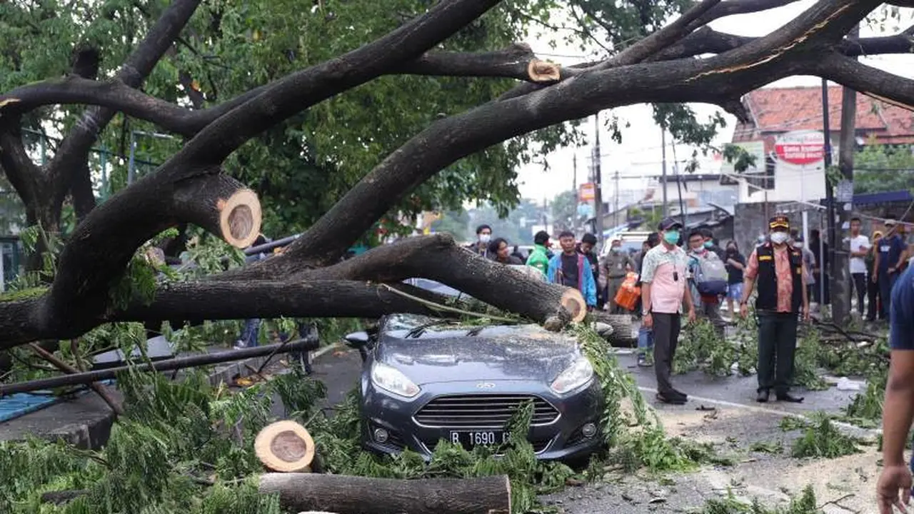 Mobil tertimpa pohon tumbang di Kota Tangerang.
