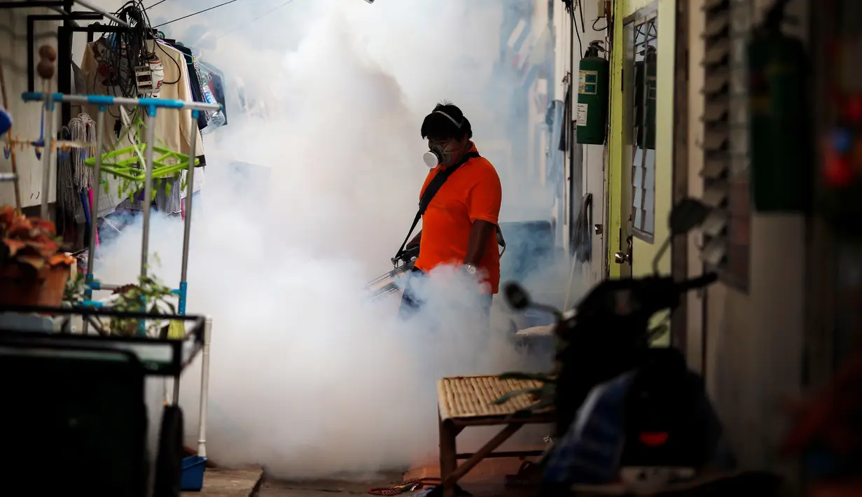 Seorang petugas melakukan pengasapan di sebuah universitas di Bangkok, Thailand, Selasa (13/9). Pengasapan atau fogging dilakukan sebagai upaya memerangi penyebaran virus Zika yang saat ini telah terjadi di Thailand. (REUTERS/Athit Perawongmetha)