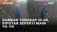Sebagian orang merasa takut dan enggan menyentuh ular yang datang ke rumah. Beberapa memilih memanggil pemadam kebakaran untuk mengamankan ular liar. Namun evakuasi ular oleh seorang anggota damkar di Sleman ini justru buat takjub.