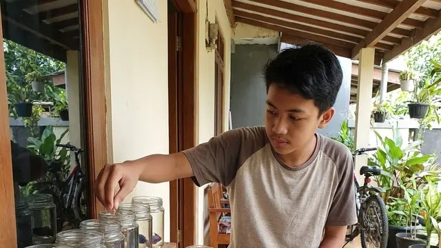 Ide Usaha Ternak untuk Anak Sekolah