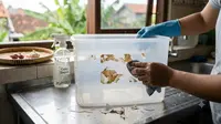 Cara Menghilangkan Bekas Stiker pada Wadah Plastik, Bersih Tanpa Merusak Permukaan