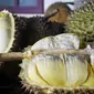 Menikmati legitnya durian unggulan Banyumas. (Liputan6.com/Muhamad Ridlo)