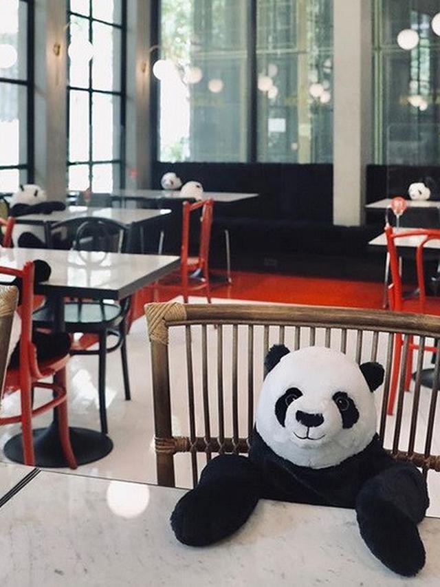 Restoran di Thailand Gunakan Boneka Panda untuk Menjaga Jarak Para Pelanggan