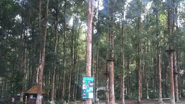 Paket Wisata Keluarga ke Bali