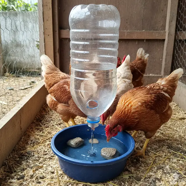 Desain Tempat Minum Ayam