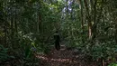 Seorang pemandu wisata berjalan di hutan virus Zika di Uganda, 29 Januari 2016. Hutan ini merupakan lokasi pertama kali ditemukannya virus Zika pada April 1947 setelah pengujian menggunakan monyet-monyet oleh ilmuwan. (ISAAC KASAMANI/AFP)