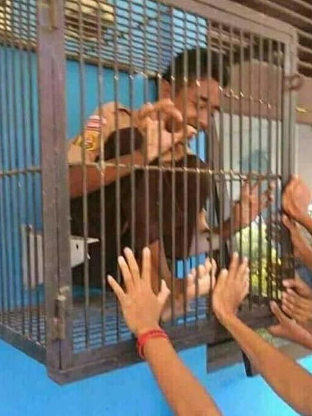 6 Tingkah Absurd Orang Masuk Kandang, Enggak Habis Pikir