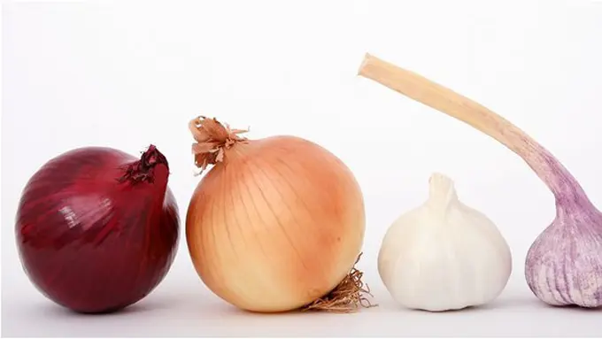 Manfaat Bawang Putih/copyright pixabay