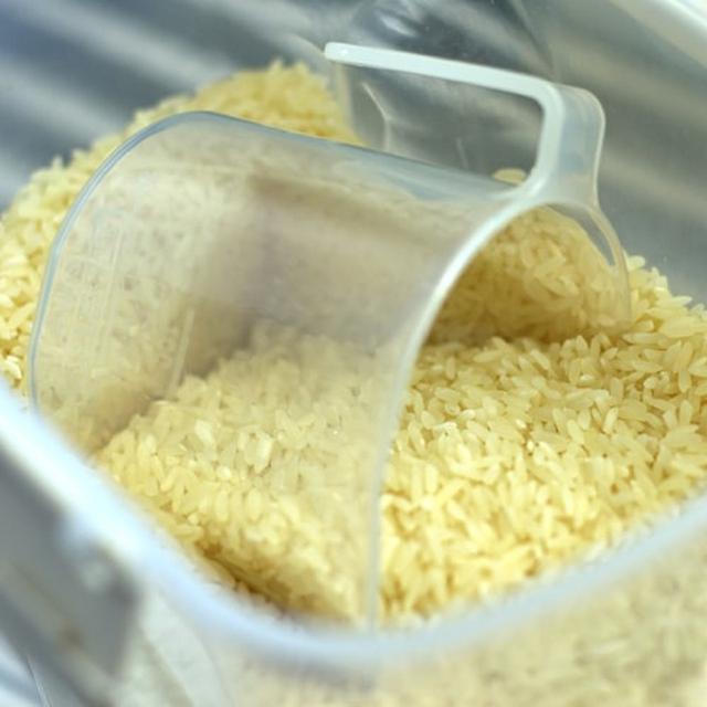 Doa Niat Bayar Zakat Fitrah Untuk Diri Sendiri Dan Keluarga Lifestyle Liputan6 Com