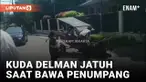 Diduga Kelelahan, Kuda Delman Jatuh saat Bawa Penumpang