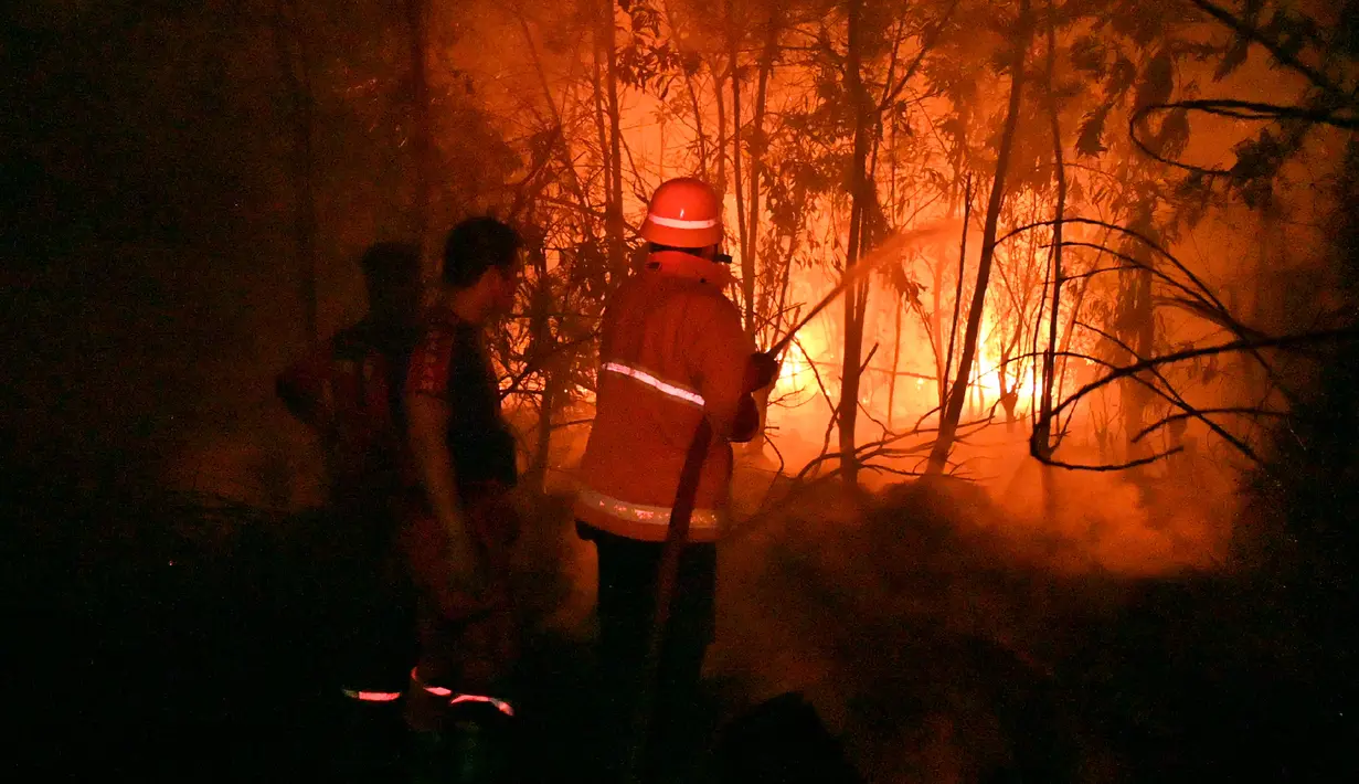 Petugas pemadam kebakaran memadamkan api saat kebakaran hutan dan lahan (karhutla) di Pekanbaru, Riau, Jumat (13/9/2019). Karhutla menyebabkan kabut asap pekat menyelimuti Pekanbaru. (ADEK BERRY/AFP)