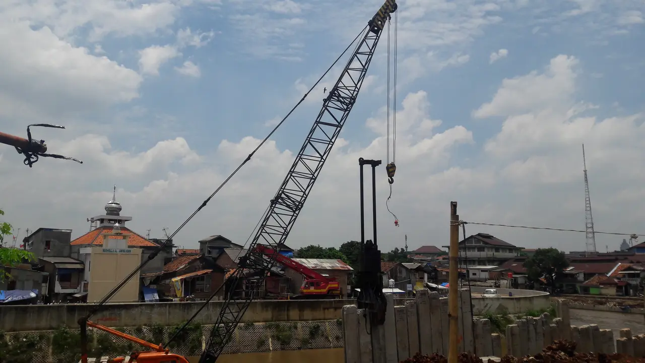 Paku Bumi Bukit Duri
